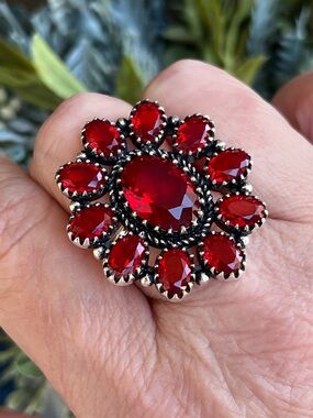 Gorgeous Garnet Sterling Silver Statement Ring Sz 10